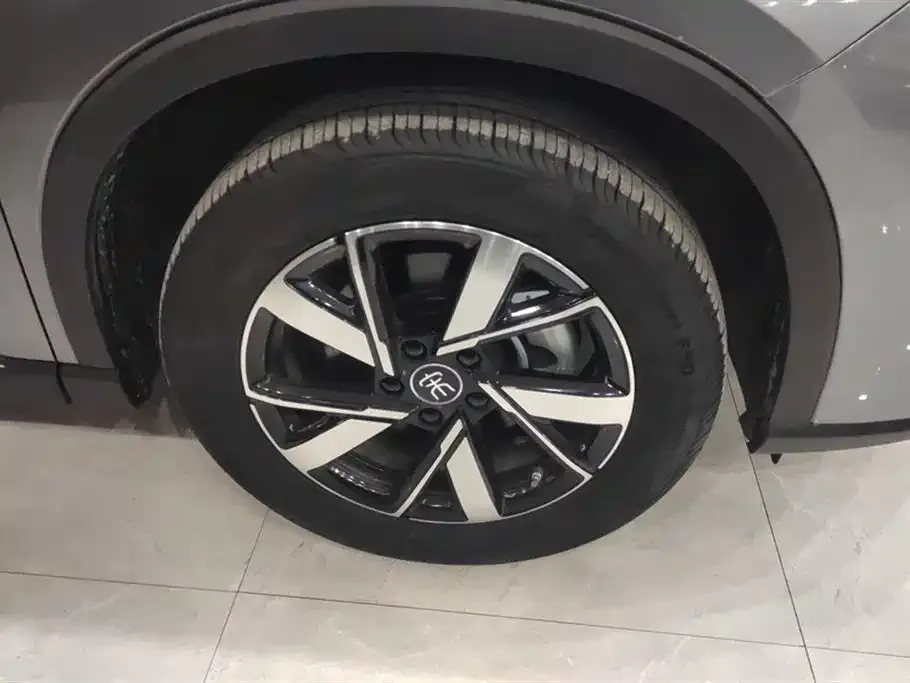 BYD Pro New Energy 2023 из CN, фото 2