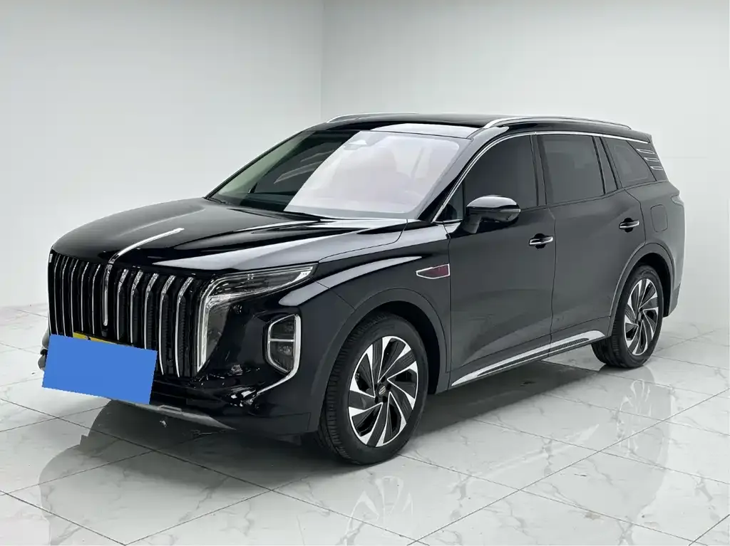 Hongqi HS7 2024 из CN, фото 1