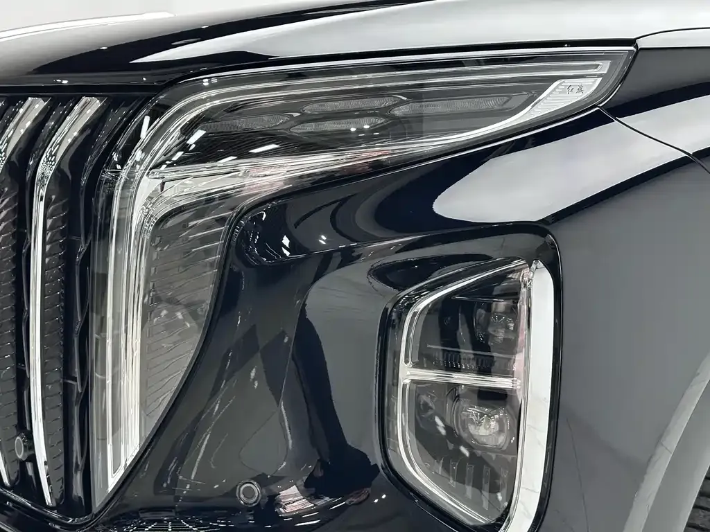 Hongqi HS7 2024 из CN, фото 7