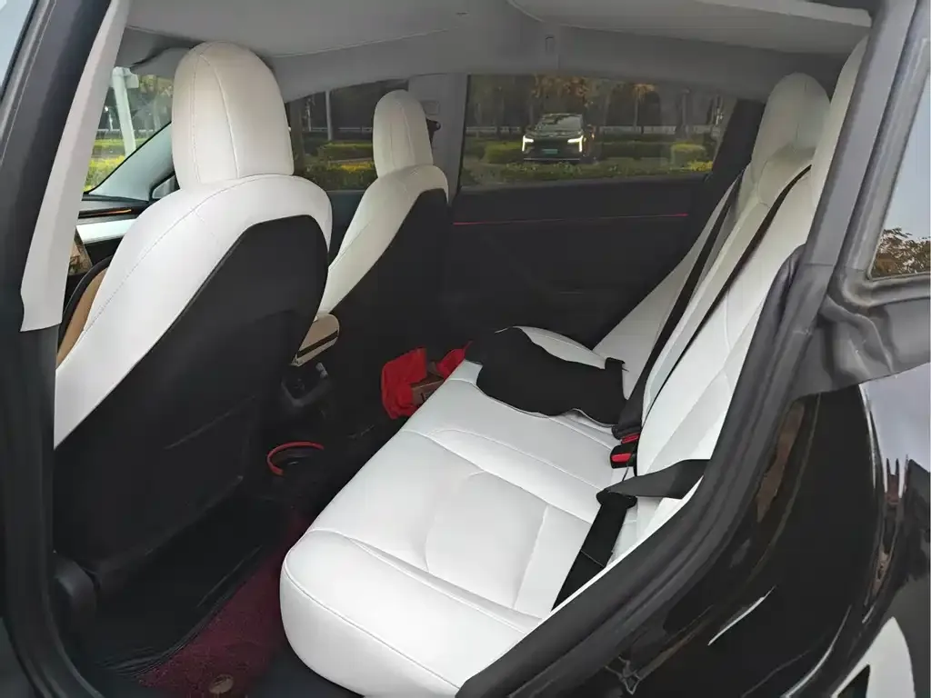 Tesla Model 3 2022 из CN, фото 2