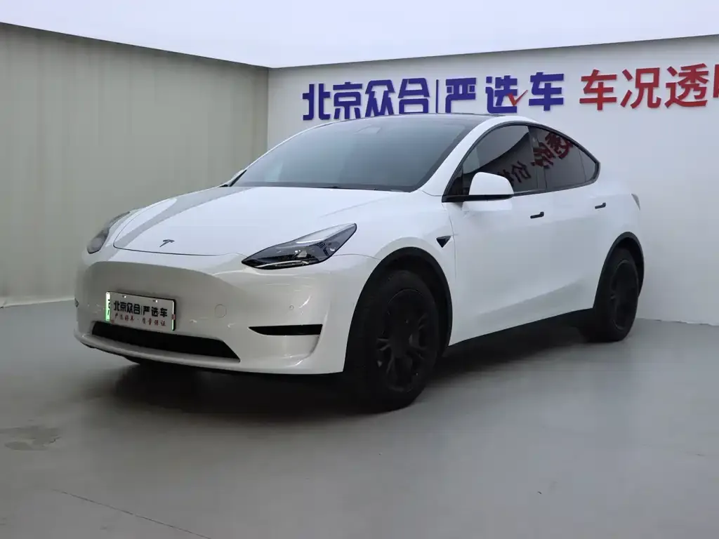 Tesla Model Y 2023 из CN, фото 1