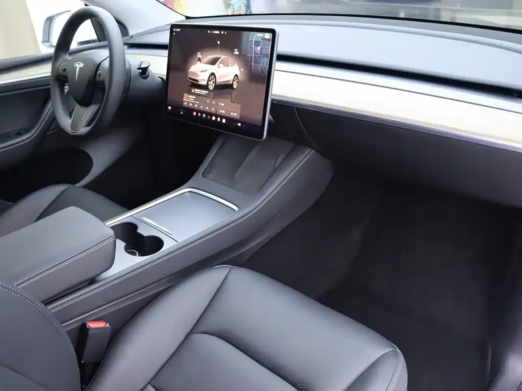 Tesla Model Y 2023 из CN, фото 8