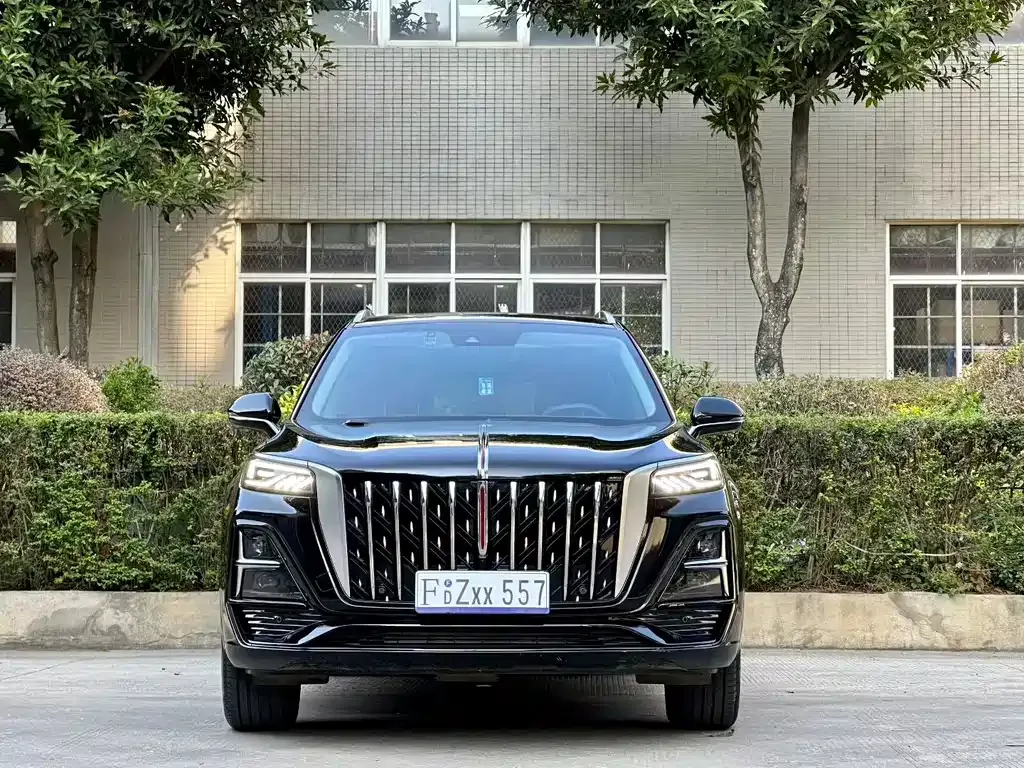 Hongqi HS5 2023 из CN, фото 7