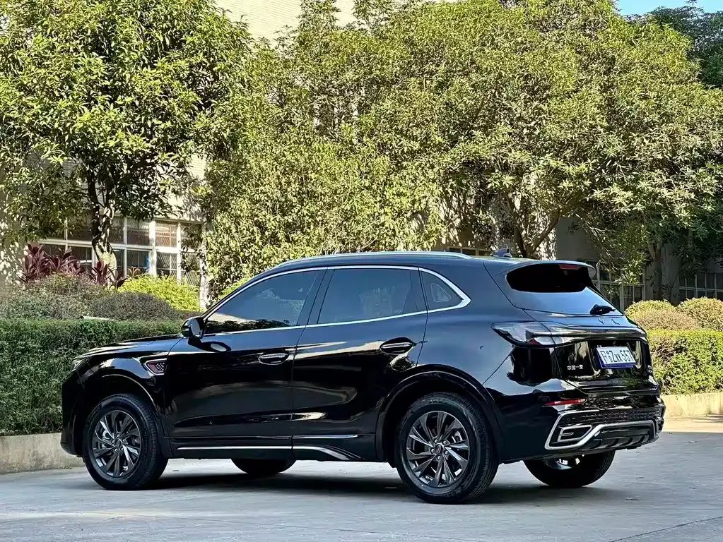 Hongqi HS5 2023 из CN, фото 10