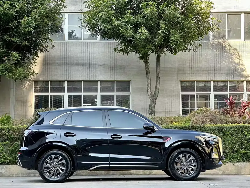 Hongqi HS5 2023 из CN, фото 9