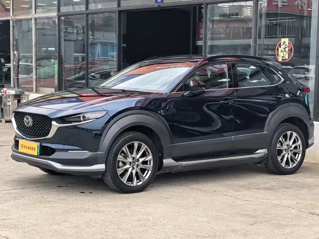 Mazda CX-30 EV 2021 из CN, фото 1