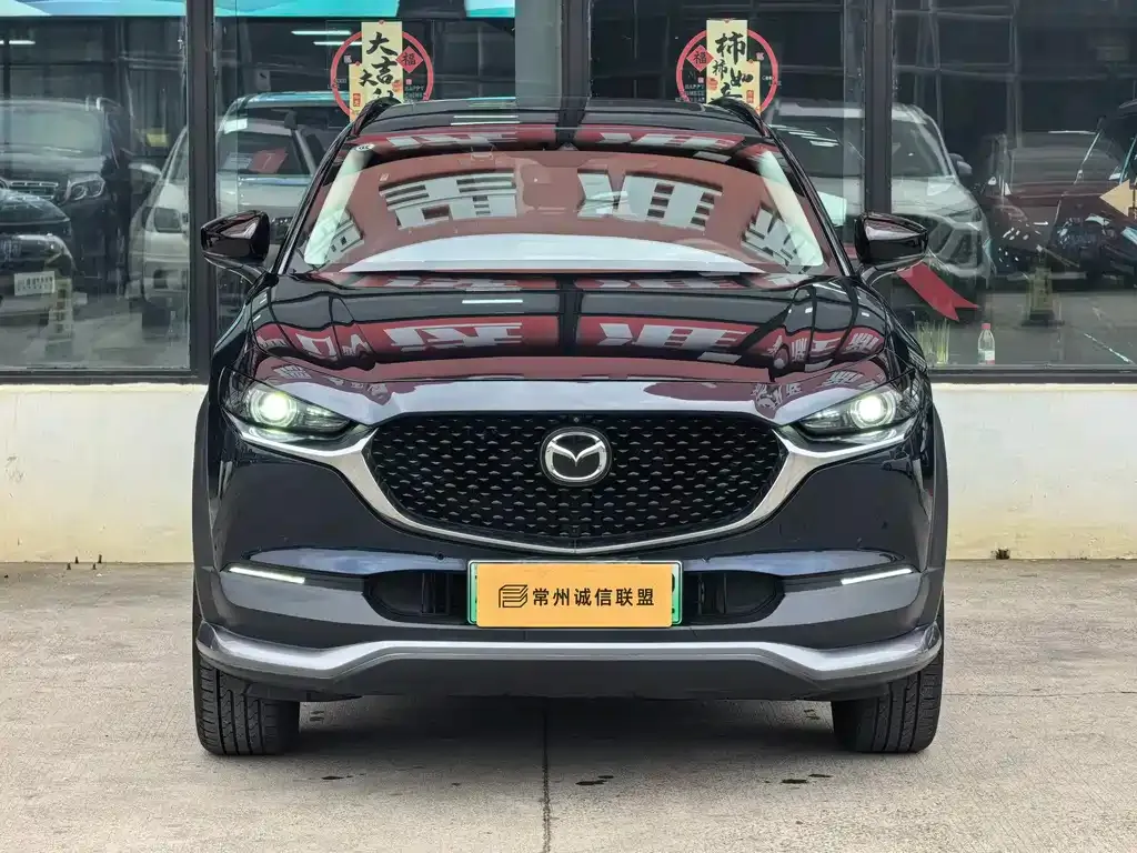 Mazda CX-30 EV 2021 из CN, фото 6