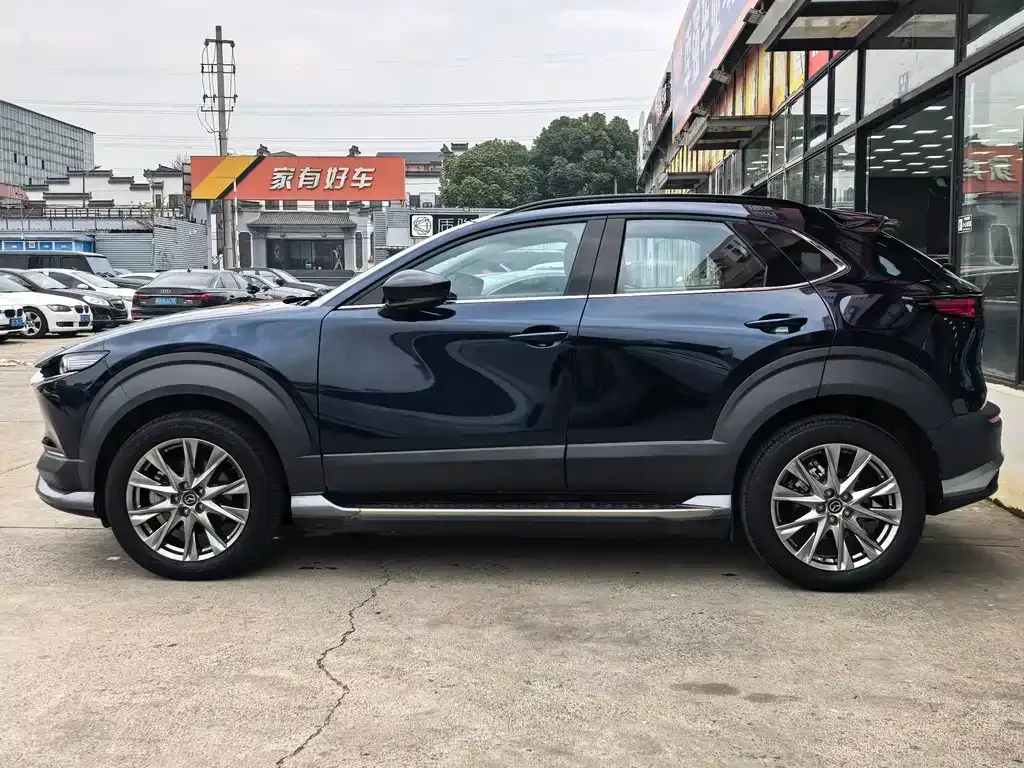 Mazda CX-30 EV 2021 из CN, фото 8