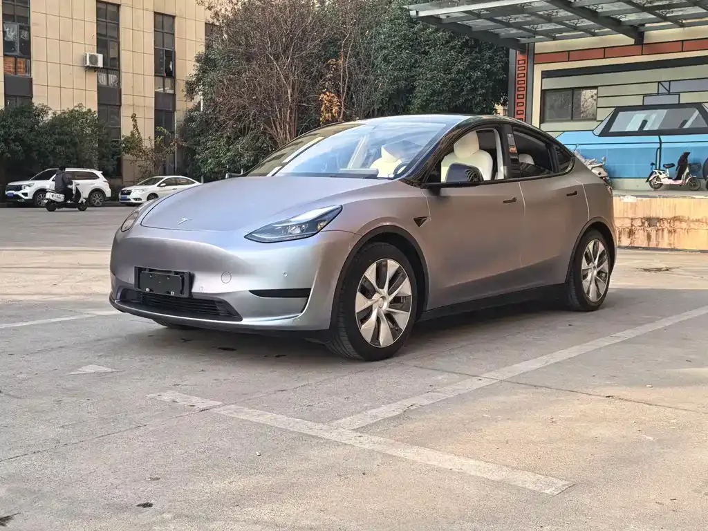 Tesla Model Y 2022 из CN, фото 1