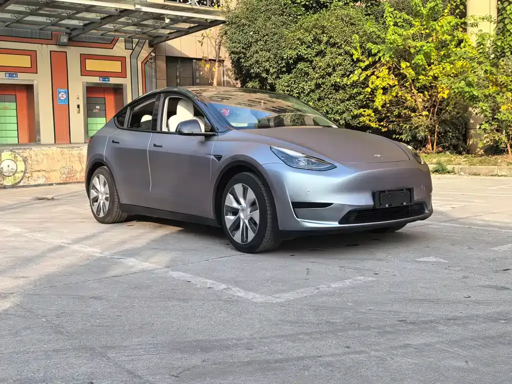 Tesla Model Y 2022 из CN, фото 3