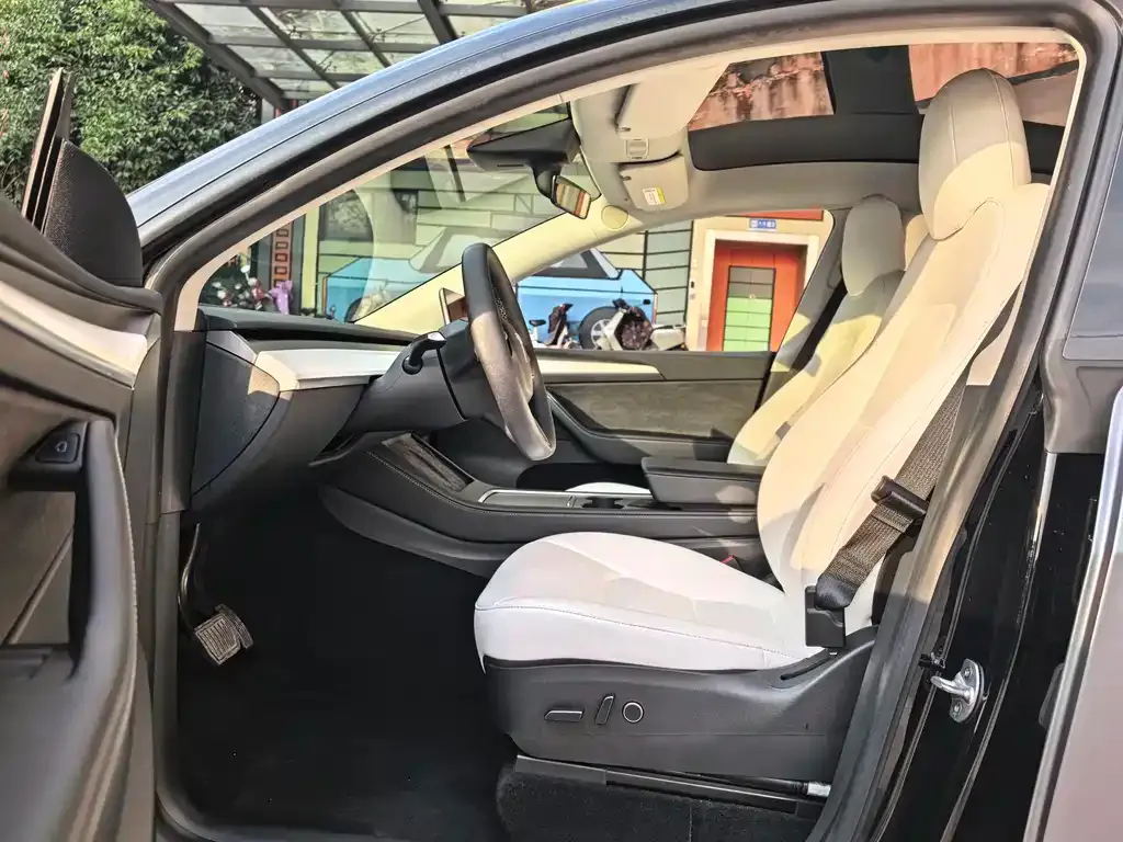 Tesla Model Y 2022 из CN, фото 6