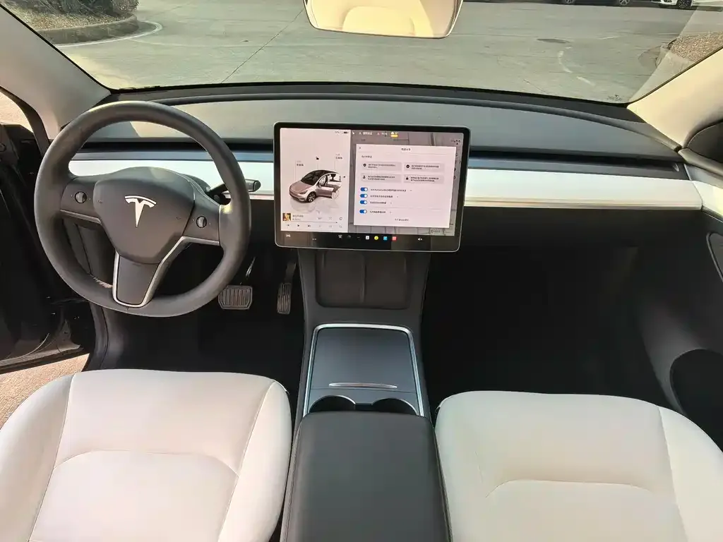 Tesla Model Y 2022 из CN, фото 7