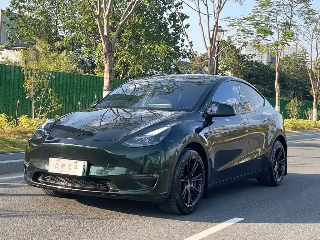 Tesla Model Y — фото 1