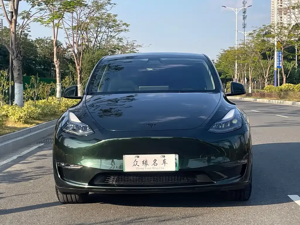 Tesla Model Y — фото 8
