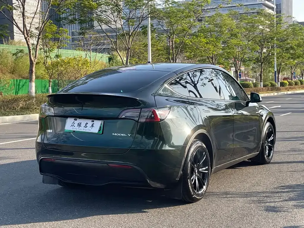 Tesla Model Y — фото 6