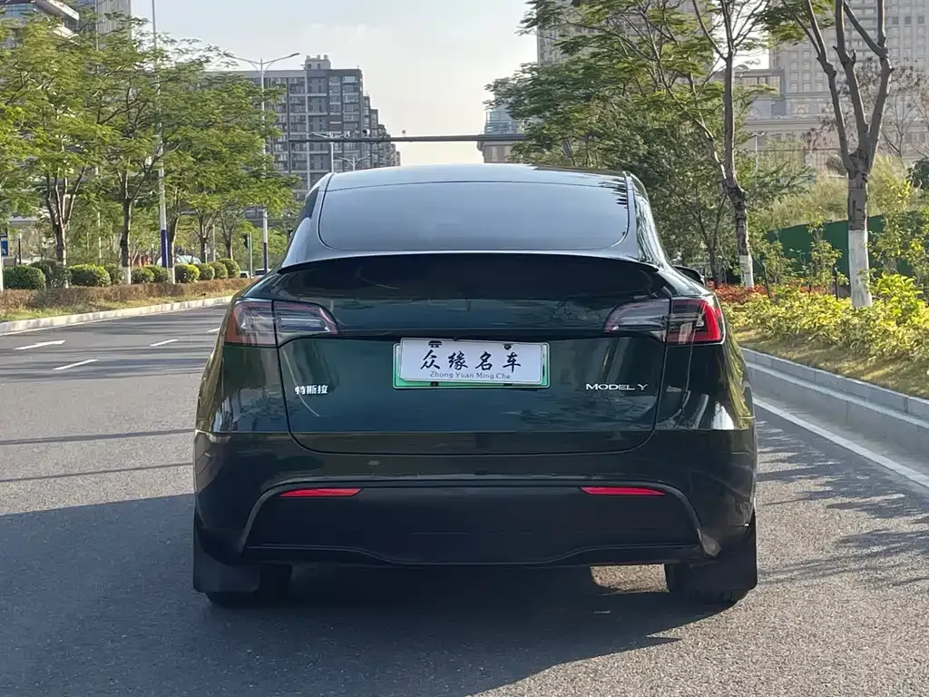 Tesla Model Y — фото 5