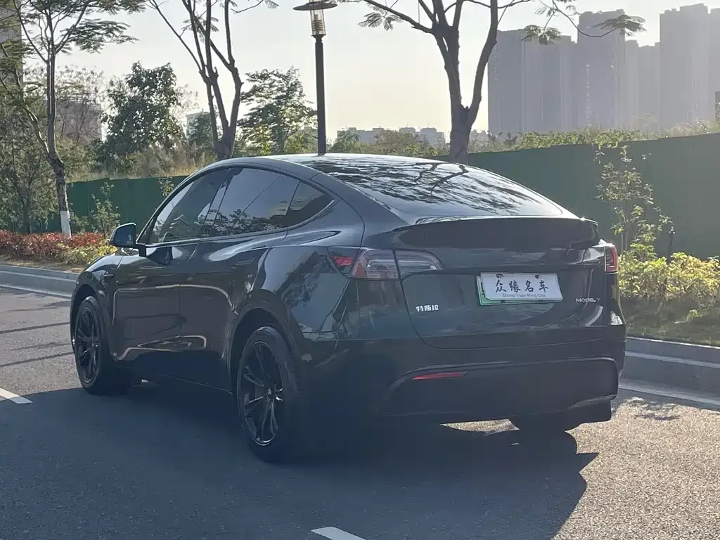 Tesla Model Y — фото 3