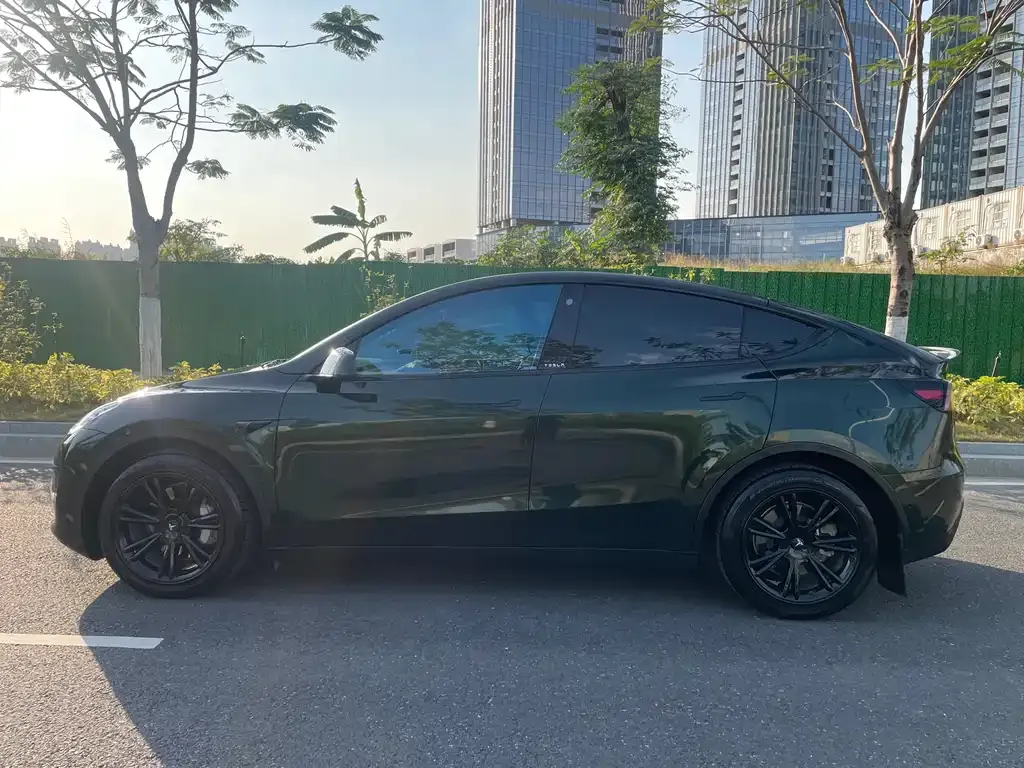 Tesla Model Y — фото 10
