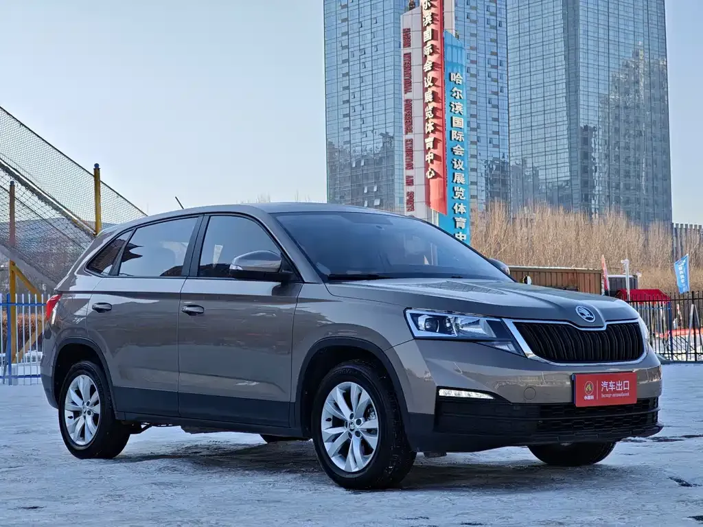 Skoda Kamiq 2021 из CN, фото 10