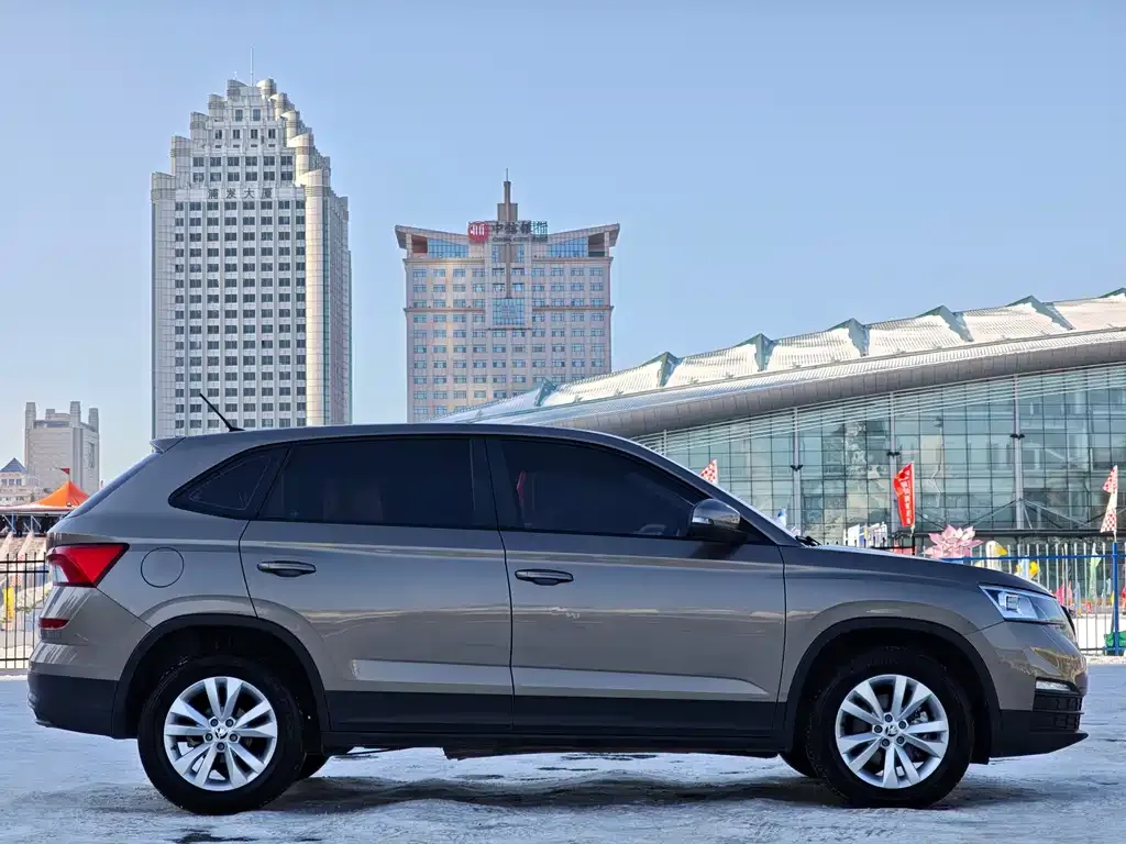 Skoda Kamiq 2021 из CN, фото 3