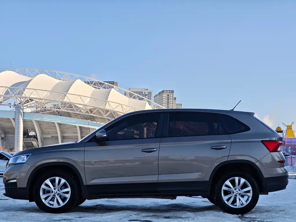 Skoda Kamiq 2021 из CN, фото 2