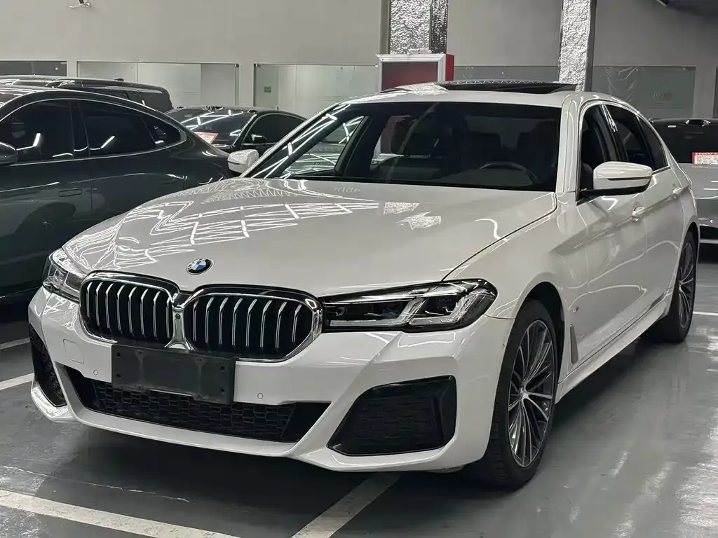 BMW 5 Series 2021 из CN, фото 1