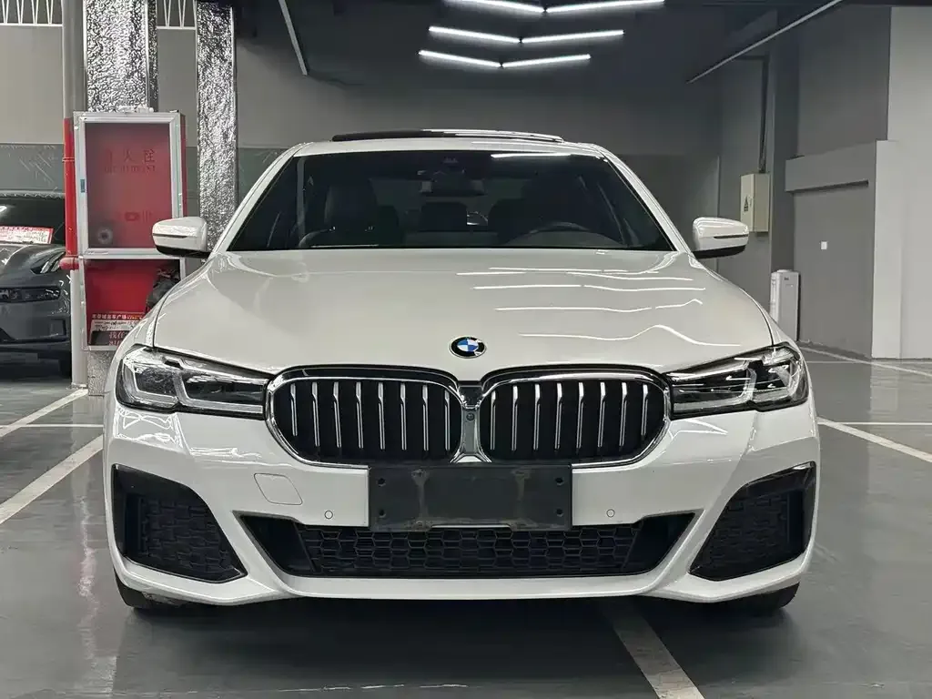 BMW 5 Series 2021 из CN, фото 9