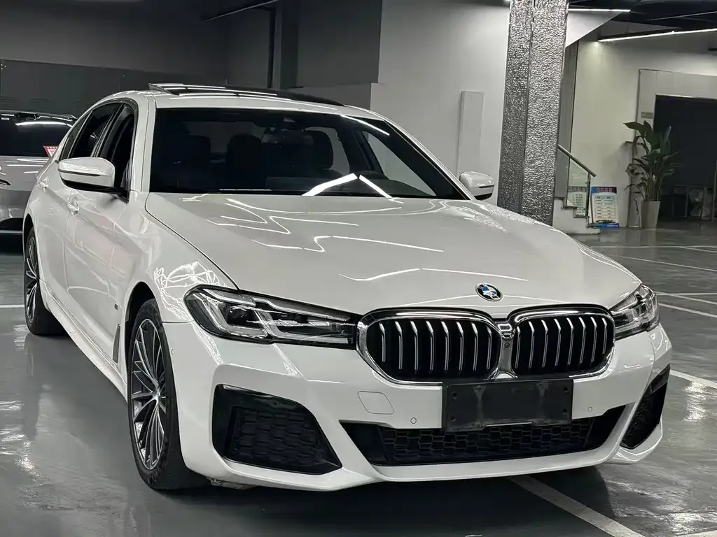 BMW 5 Series 2021 из CN, фото 7