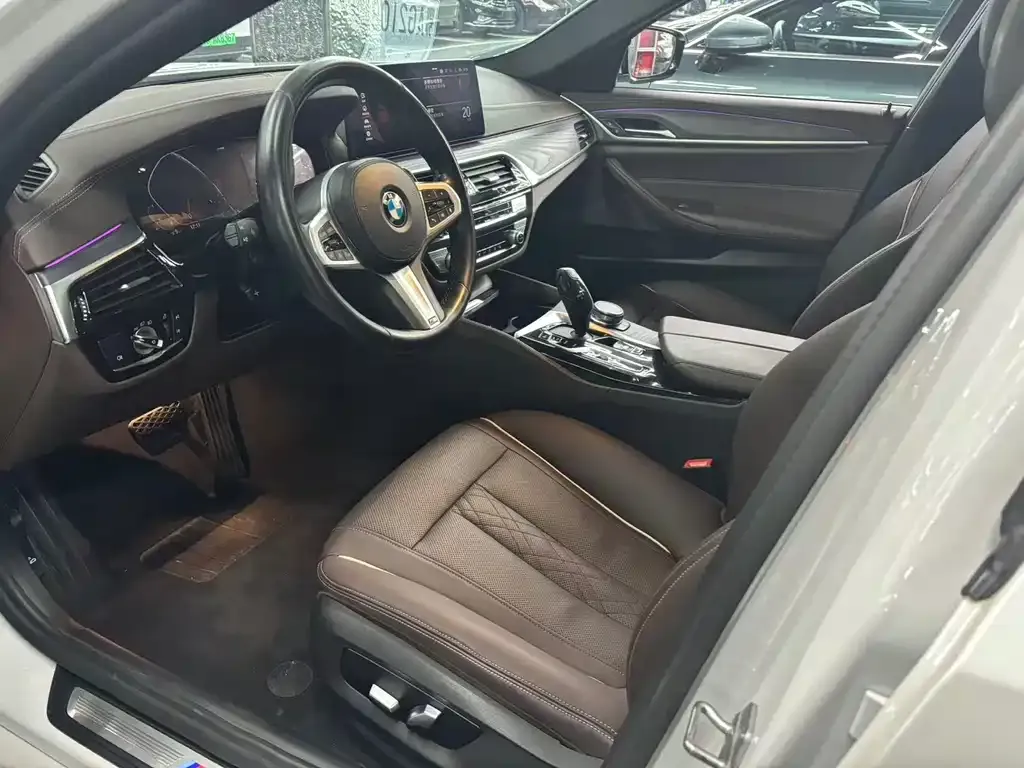 BMW 5 Series 2021 из CN, фото 10