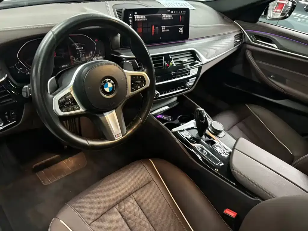 BMW 5 Series 2021 из CN, фото 8