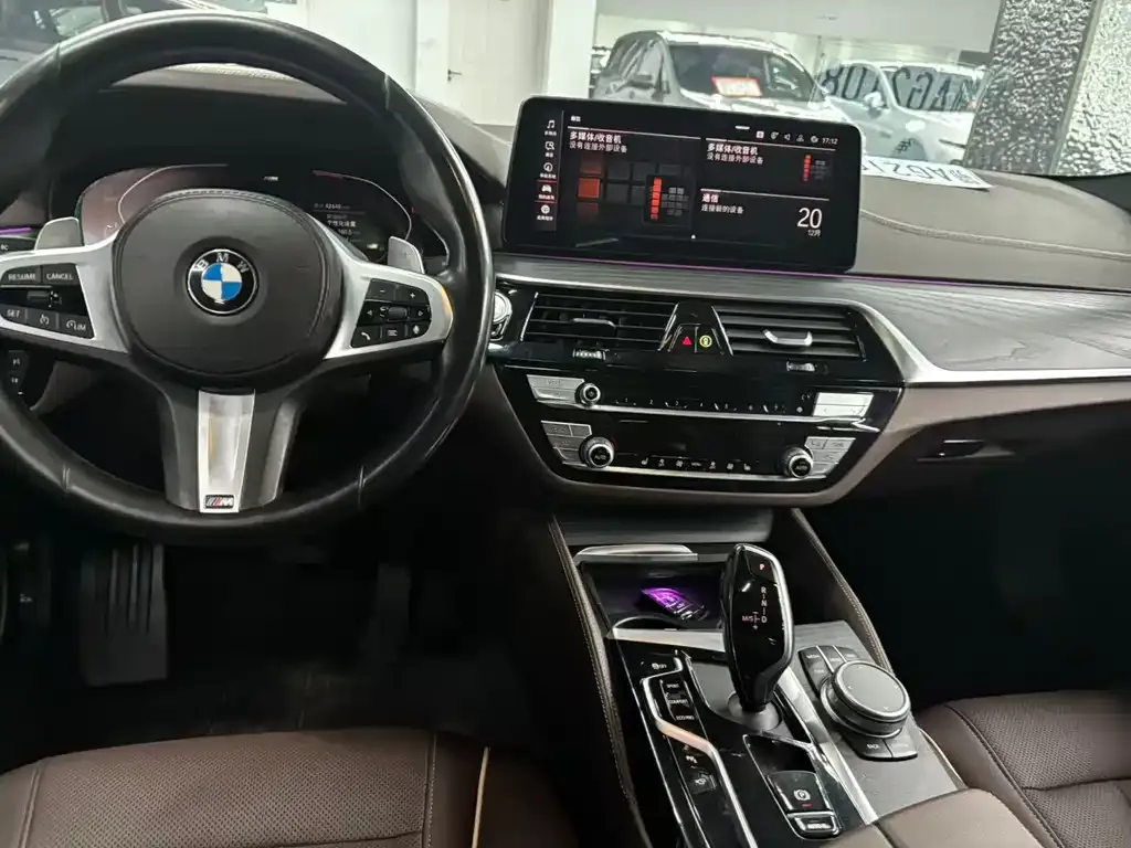 BMW 5 Series 2021 из CN, фото 2