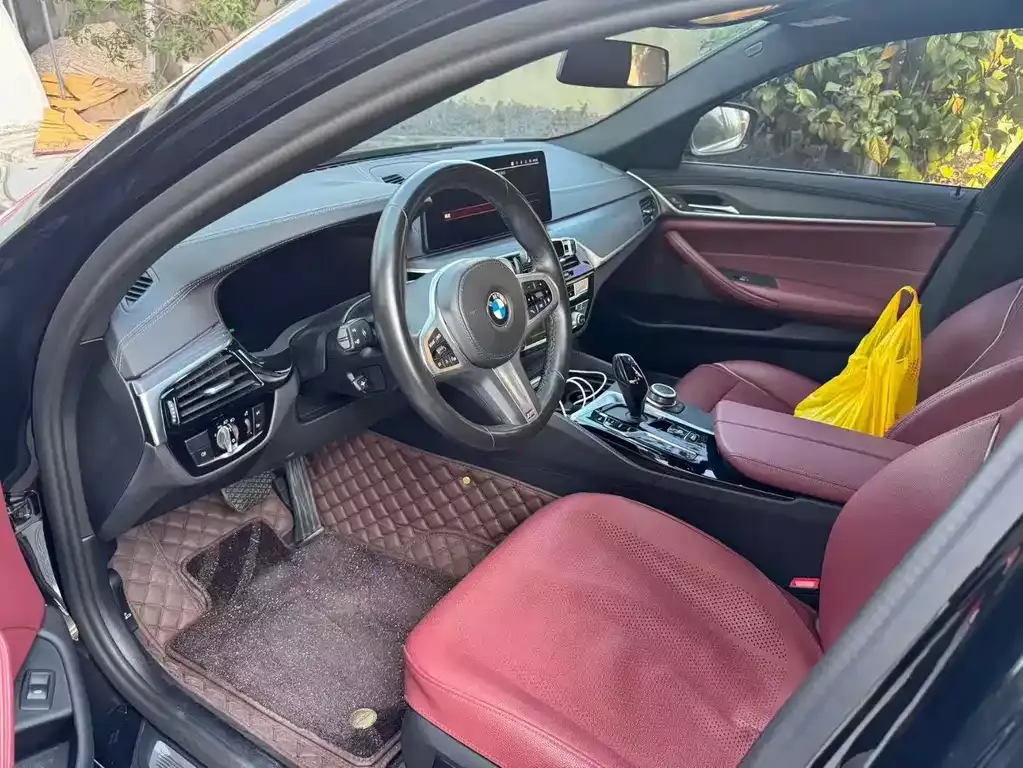 BMW 5 Series 2022 из CN, фото 4