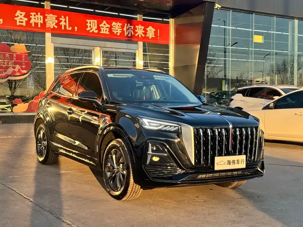 Hongqi HS5 2024 из CN, фото 10