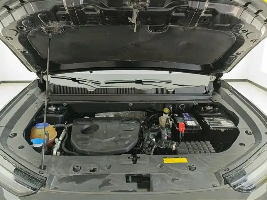 Jetour Dasheng 2023 из CN, фото 10