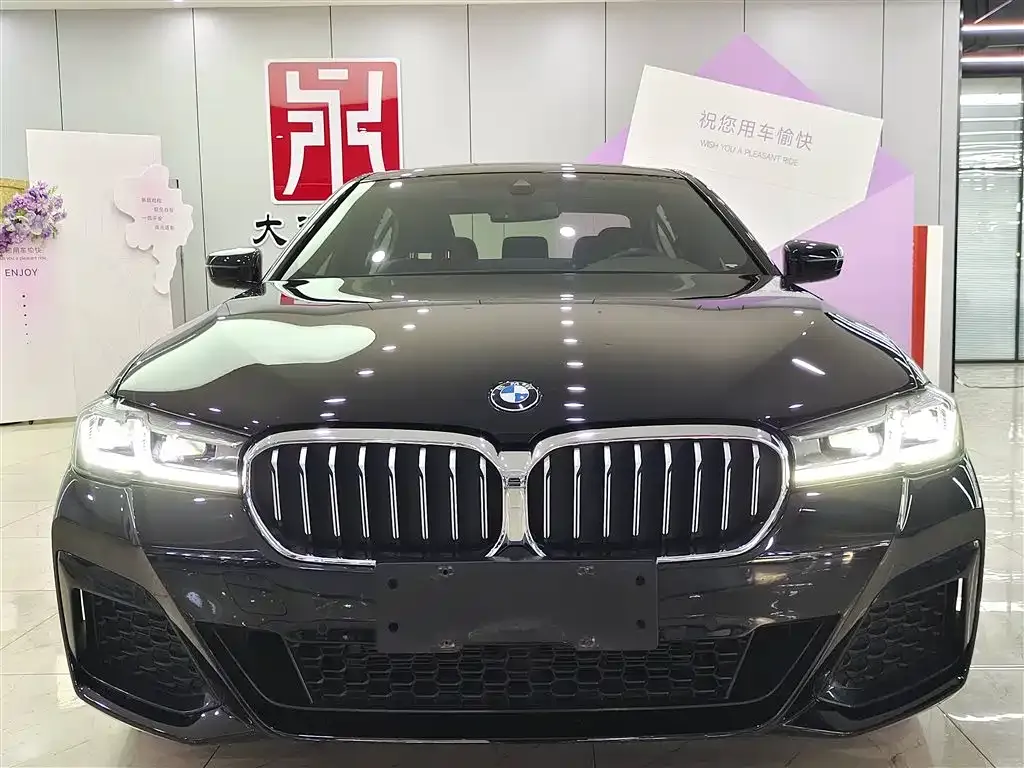 BMW 5 Series 2023 из CN, фото 9