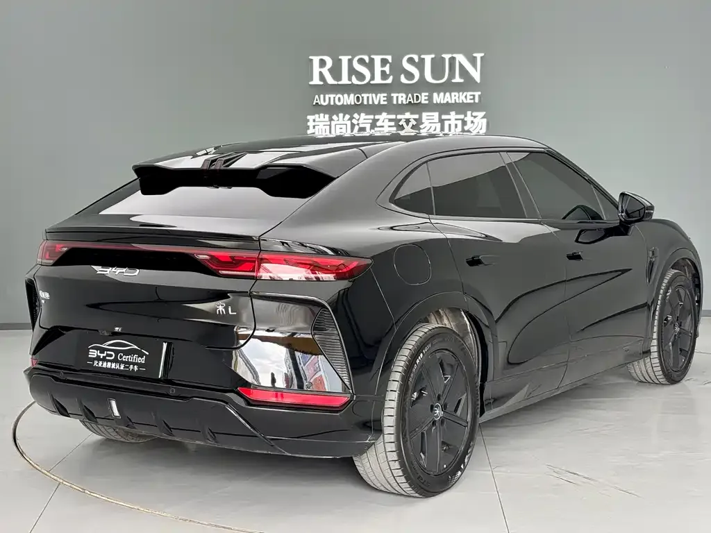BYD L EV 2024 из CN, фото 4
