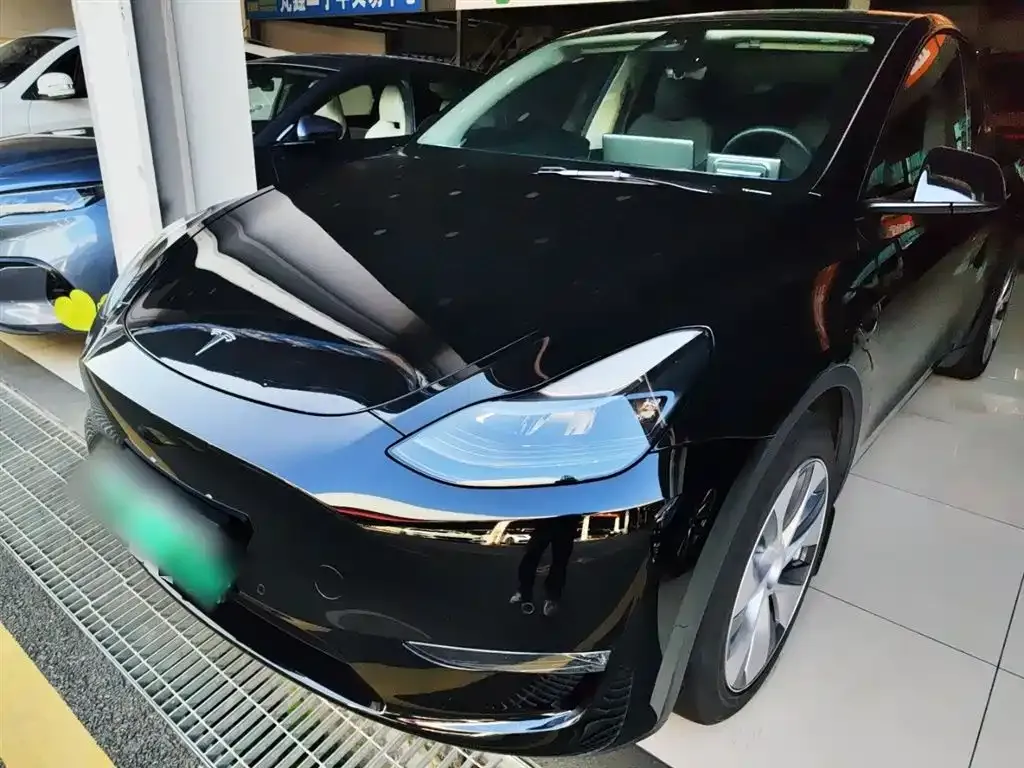 Tesla Model Y 2021 из CN, фото 1