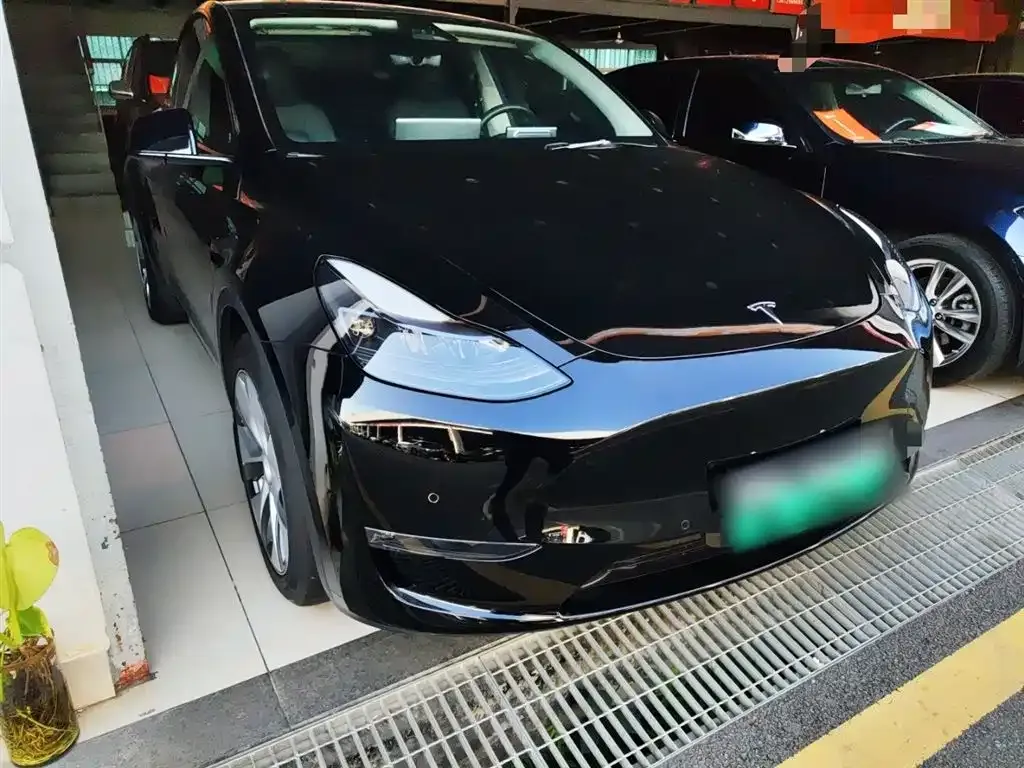 Tesla Model Y 2021 из CN, фото 5