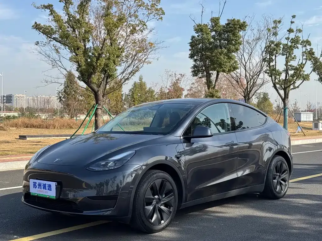 Tesla Model Y 2024 из CN, фото 1