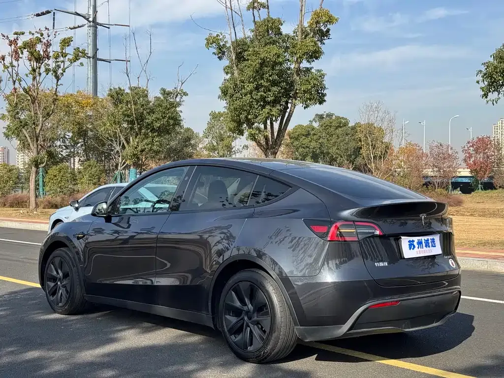 Tesla Model Y 2024 из CN, фото 8