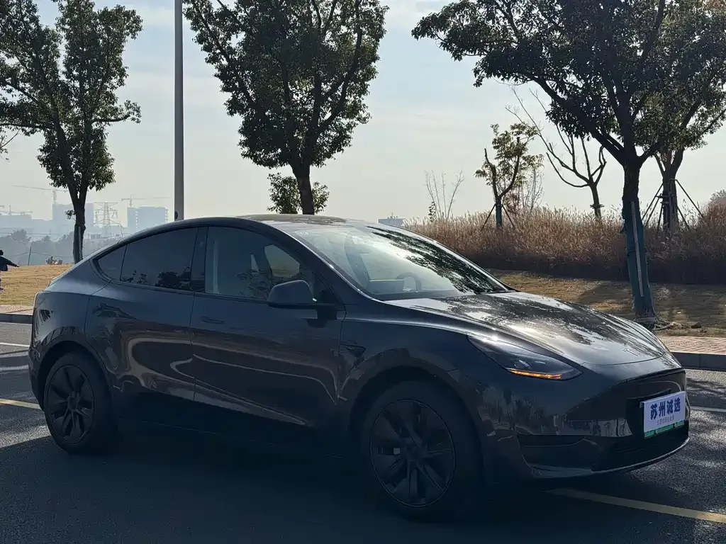 Tesla Model Y 2024 из CN, фото 4