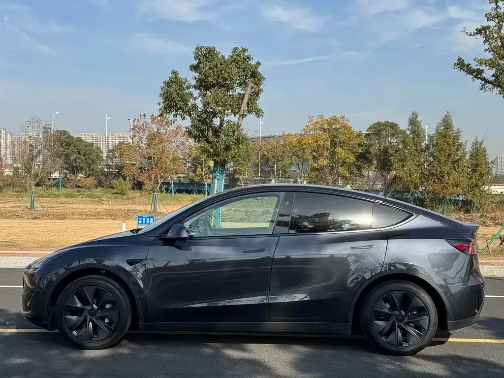 Tesla Model Y 2024 из CN, фото 6
