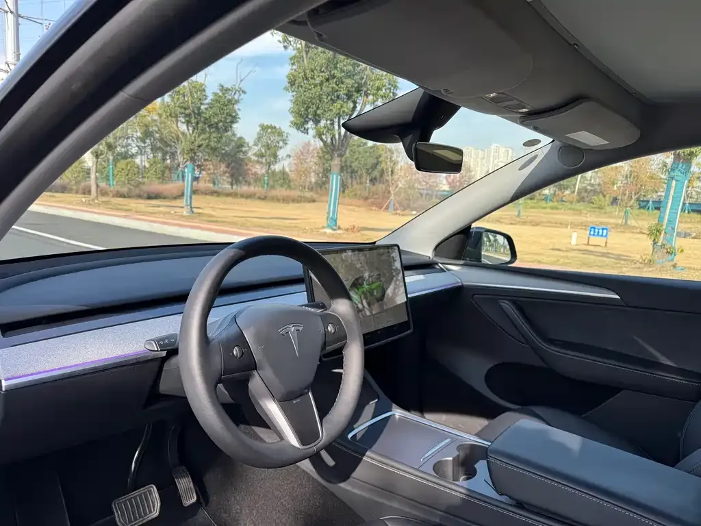 Tesla Model Y 2024 из CN, фото 2