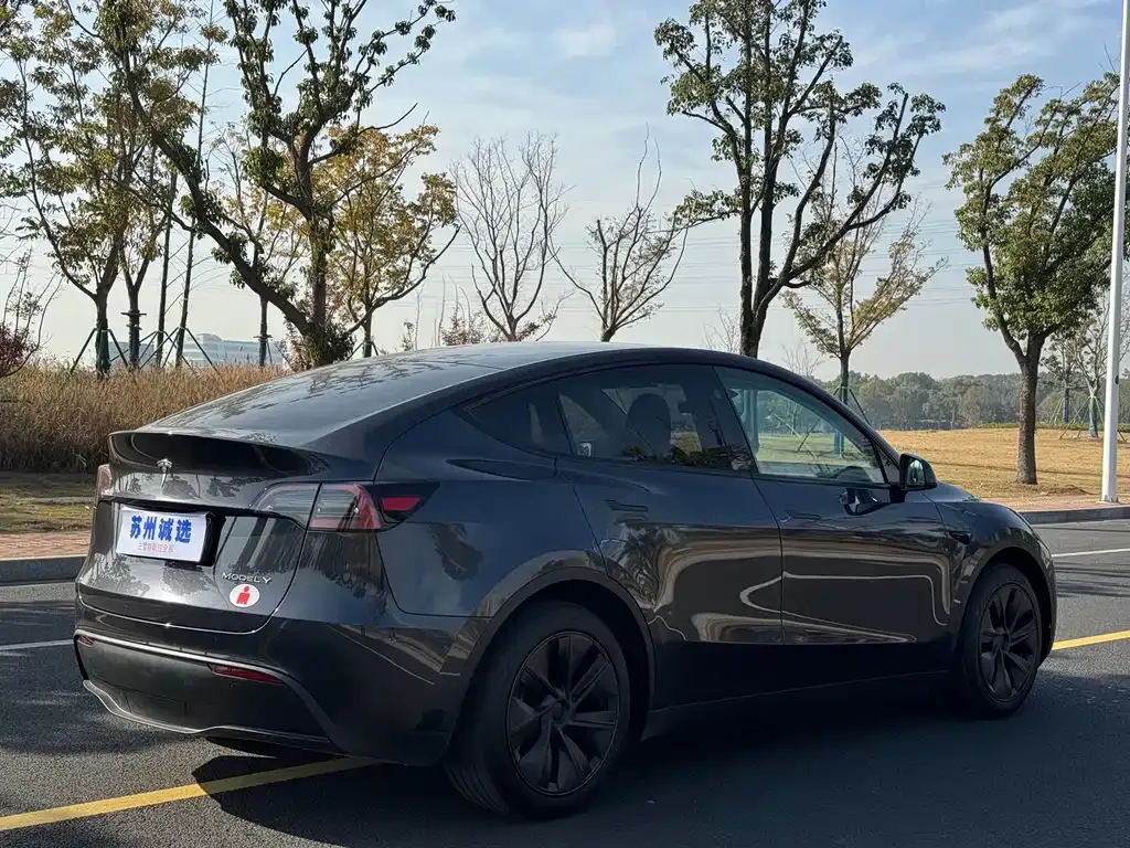 Tesla Model Y 2024 из CN, фото 7