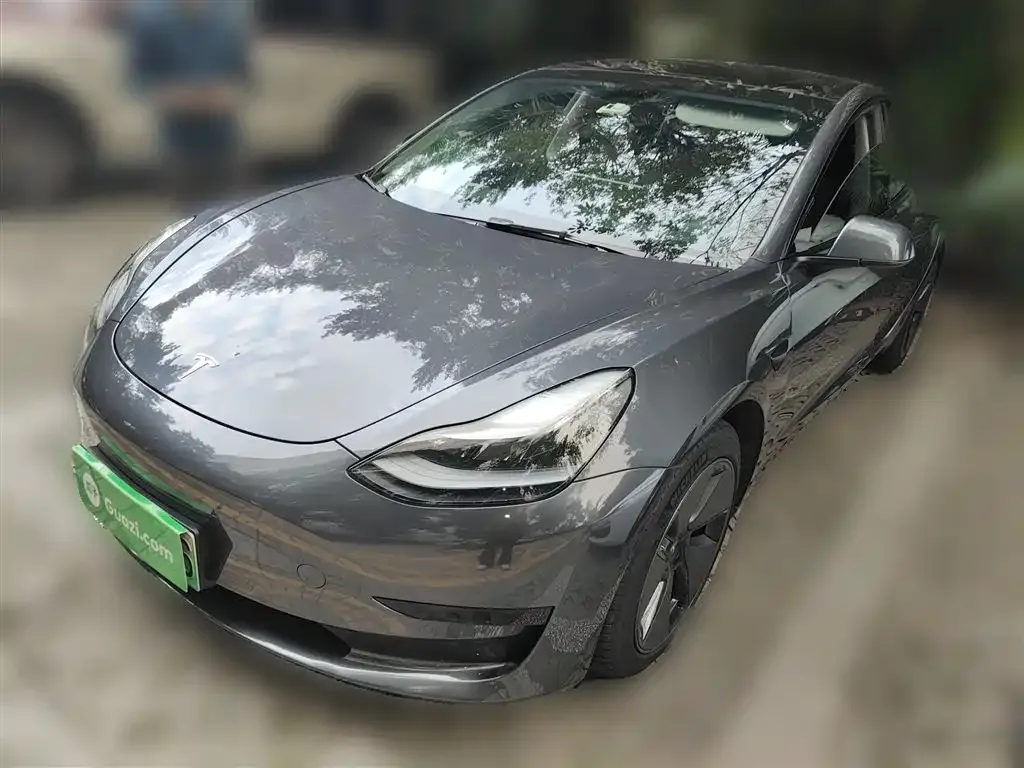 Tesla Model 3 2021 из CN, фото 1