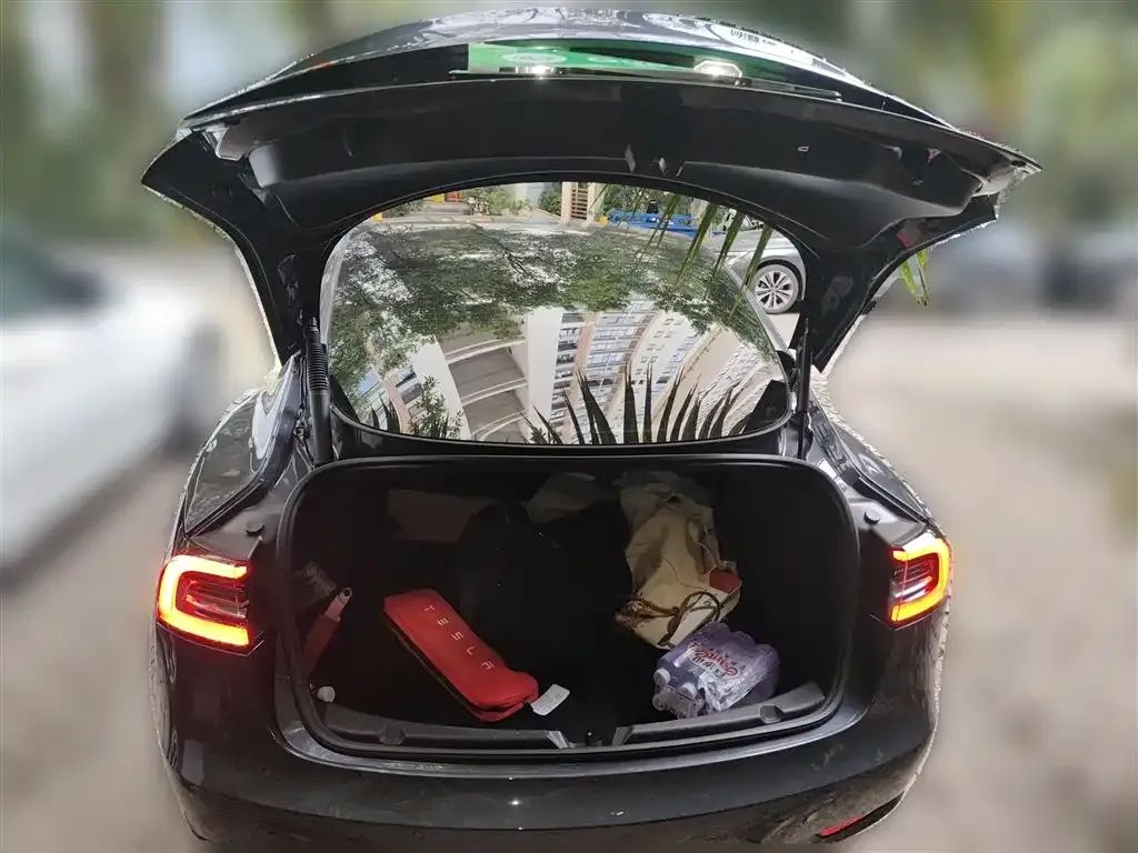 Tesla Model 3 2021 из CN, фото 10