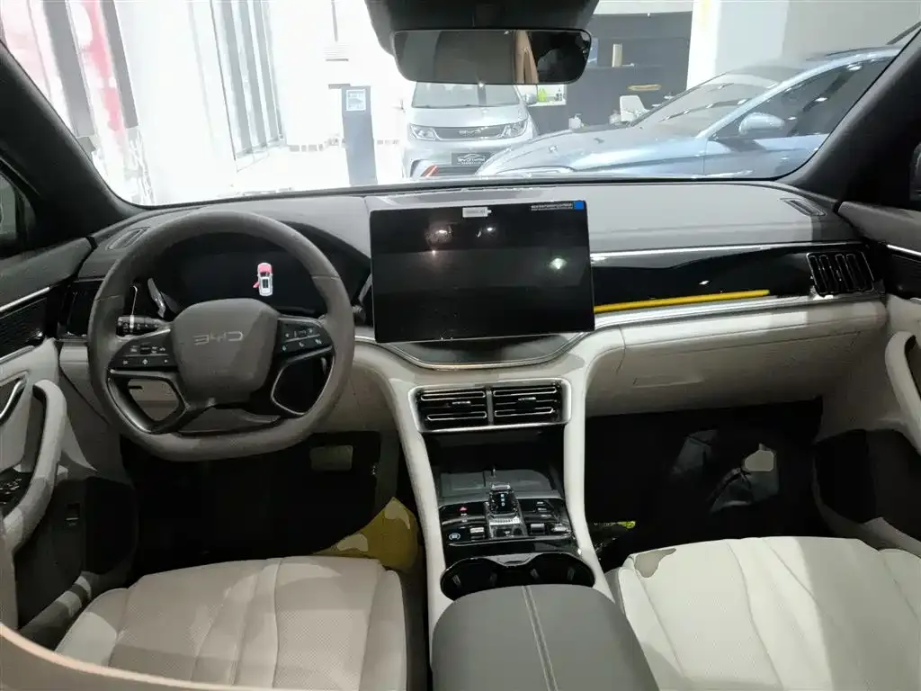 BYD PLUS New Energy — фото 10