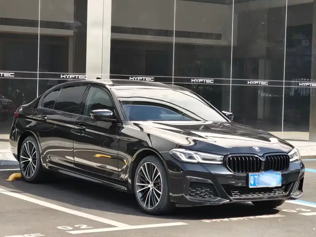 BMW 5 Series 2022 из CN, фото 7