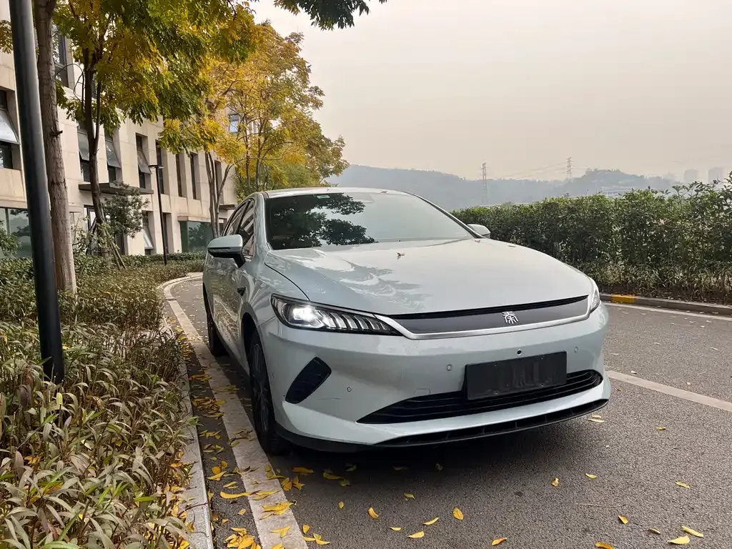 BYD Qin PLUS 2025 из CN, фото 1