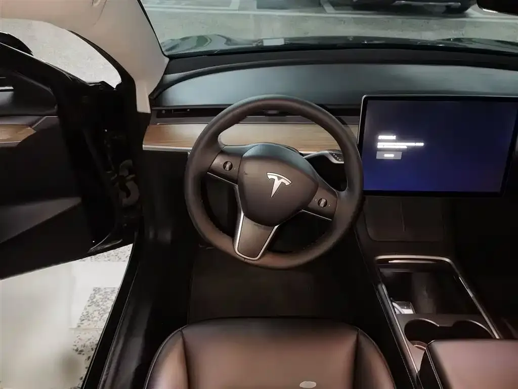 Tesla Model 3 2021 из CN, фото 3